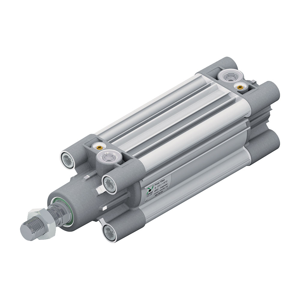 Compact Guided Cylinders Pneumax Ltd