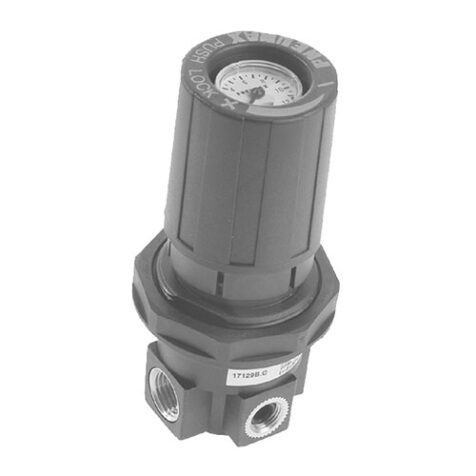 Serie 1700 Regolatore da pannello con manometro incorporato