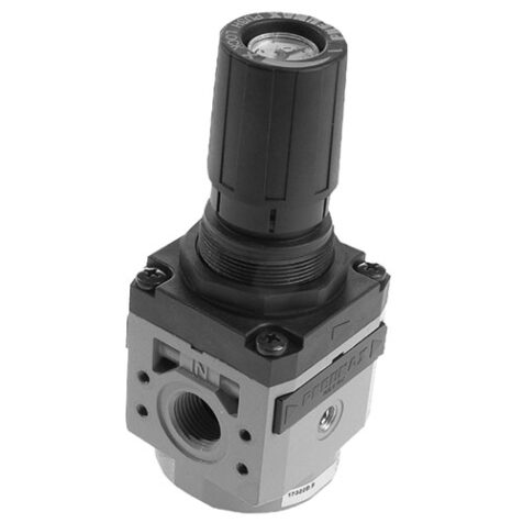 Serie 1700 Regolatori con manometro incorporato